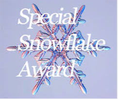 Special Snowflake Award