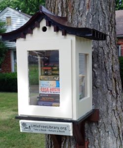 Sadie's Little Free Library