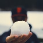 snowball-Image by StockSnap from Pixabay