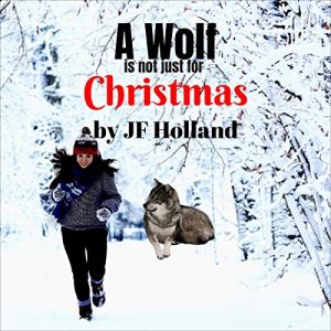 a wolf is not just got christmas
