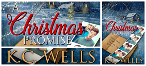 a cristmas promise banner 2