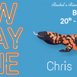 Book Review: Tow Away Zone, by Chris Towndrow