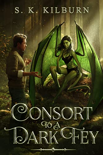 consort to a dark fae cover