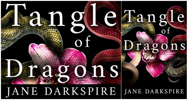 tangle of dragons banner