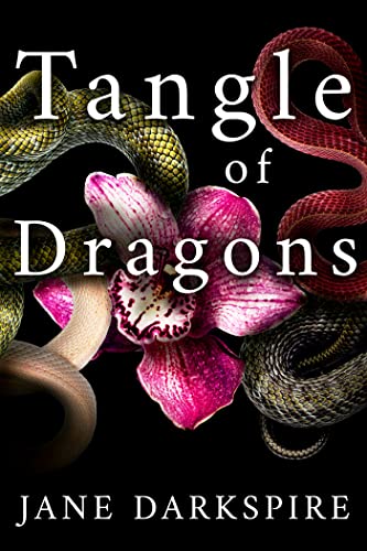 tangle of dragons cover