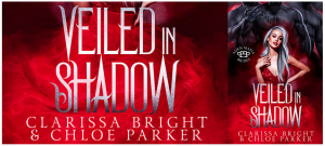 veiled in shadow banner