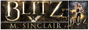 blitz banner