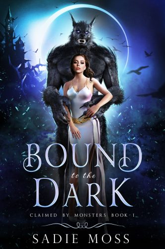 bound to the dark cover