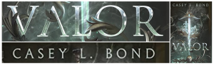 valor banner