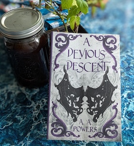 a devious descent photo