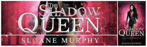 the shadow queen banner