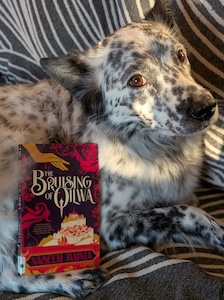 The Bruising of Qilwa photo