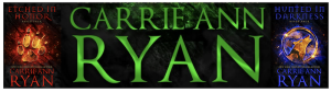 aspen pack banner